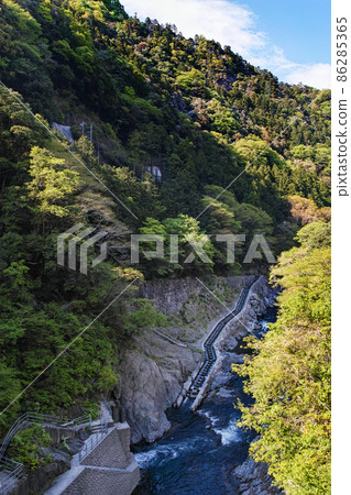 Tokyo / Fresh green Shiromaru fish road, Shiromaru adjustment pond (Shiromaru dam) 86285365