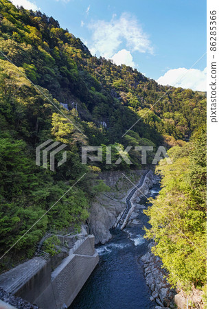 Tokyo / Fresh green Shiromaru fish road, Shiromaru adjustment pond (Shiromaru dam) 86285366