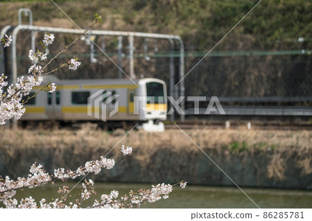 [Sakura in Sotobori and Chuo / Sobu Line E231 series] 86285781