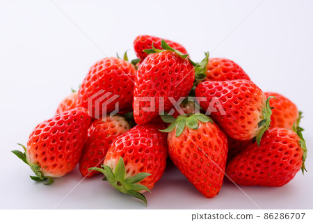 草莓白背 草莓白背 86286707