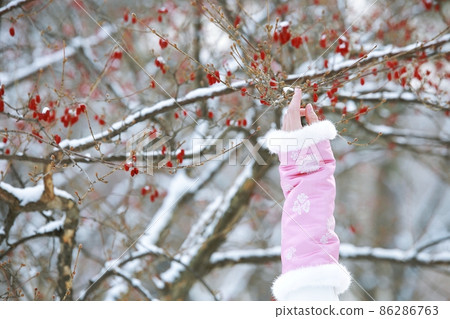 冬景、宮遊、冬遊 冬景、宮遊、冬遊 86286763