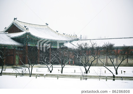 Winter scenery, palace outing, winter travel Winter scenery, palace outing, winter travel 86286808