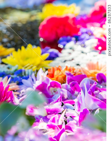 Colorful and fun flower chozuya Colorful and fun flower chozuya 86287833