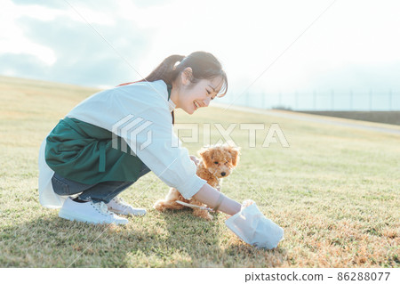 遛狗時清理糞便的女人 86288077