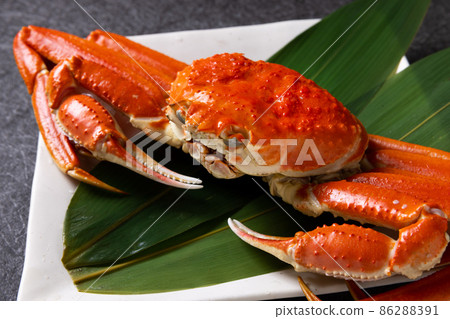Snow crab black background 86288391