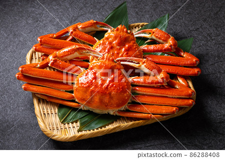 Crab luxury 86288408