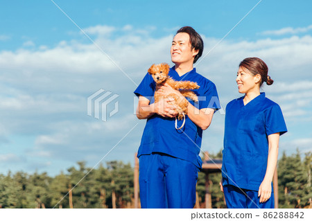 與寵物一起工作的男性和女性 86288842