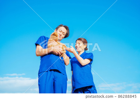 與寵物一起工作的男性和女性 86288845