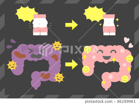 前後腸道活動 86289061