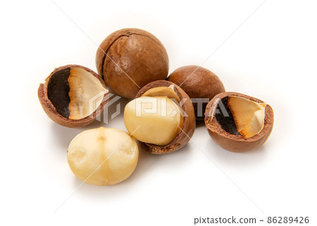 Macadamia nut Macadamia nut 86289426