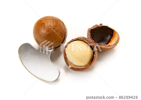 Macadamia nut 86289428