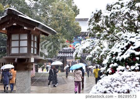 Snow scene on the approach to Samukawa Shrine Snow scene on the approach to Samukawa Shrine 86289573