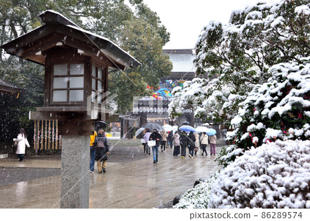 Snow scene on the approach to Samukawa Shrine Snow scene on the approach to Samukawa Shrine 86289574