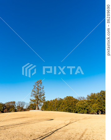 A symbol tree standing on a hill in a park under the blue sky 86289690