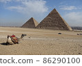 Egypt, Giza Pyramid and Camel 86290100