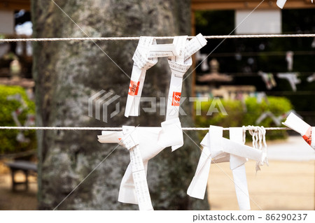 Omikuji和神社區域,算命 Omikuji和神社區域,算命 86290237