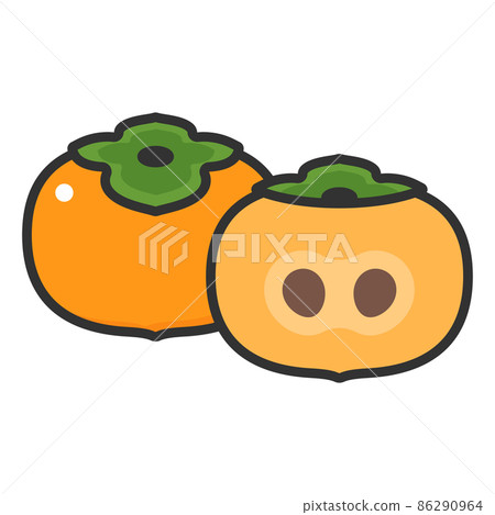 Fruit illustration persimmon and its cross section Fruit illustration persimmon and its cross section 86290964