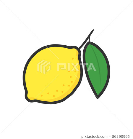 Fruit illustration Lemon with leaves Fruit illustration Lemon with leaves 86290965