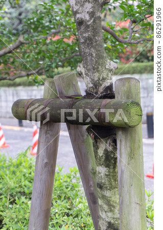 四足鳥居道具、植物支撐桿 86291966