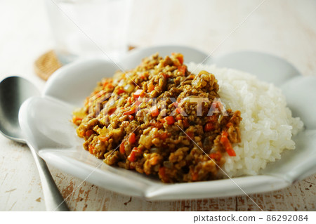 Keema 咖哩配洋蔥和肉末 86292084