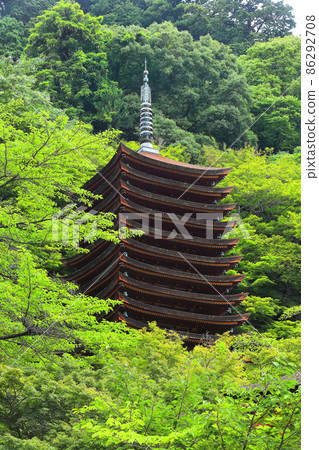 [奈良縣]新鮮的綠色丹山神社的13層寶塔 86292708