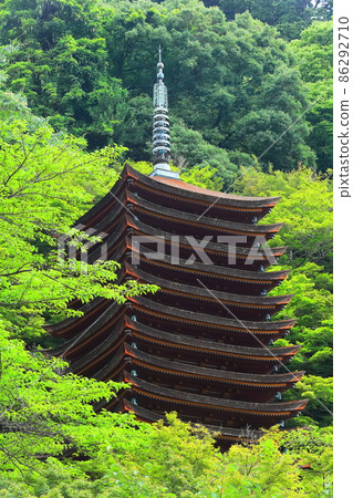 [奈良縣]新鮮的綠色丹山神社的13層寶塔 86292710