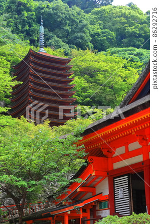 [奈良縣] 墨綠色談山神社的十三層塔和大殿 86292716