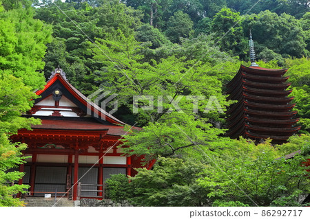 [Nara Prefecture] The Thirteen-Storied Pagoda and Gonden of the Dark Green Tanzan Shrine 86292717