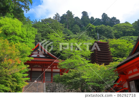 [Nara Prefecture] The Thirteen-Storied Pagoda and Gonden of the Dark Green Tanzan Shrine 86292718