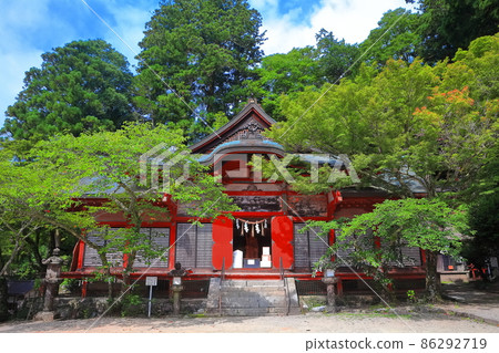[Nara Prefecture] Dark green Tanzan Shrine's main shrine worship hall 86292719