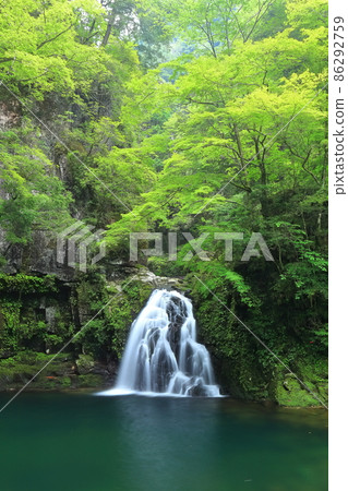 [三重縣] Akame 48瀑布Sente瀑布 86292759