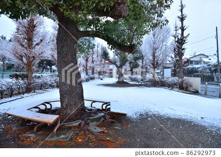 Snow in Samukawa Park Snow in Samukawa Park 86292973