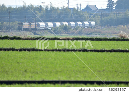 A freight train of the Sangi Railway that runs leisurely over the green fields 86293167