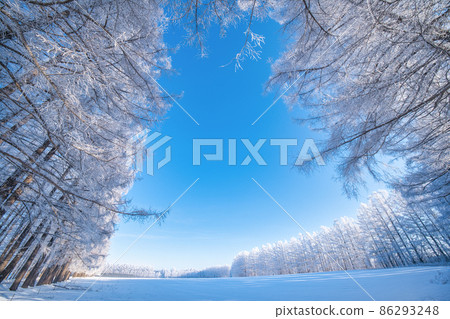 Rime and blue sky Rime and blue sky 86293248