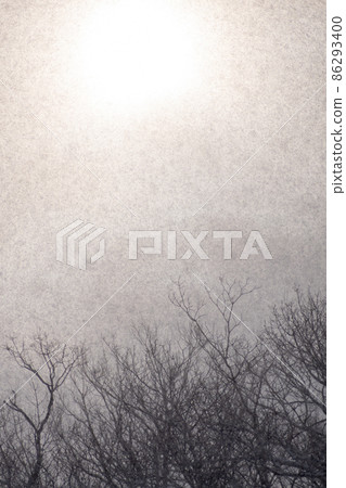 冬天的風景_雪景_冬天的樹_樹上的霧凇_降雪 86293400