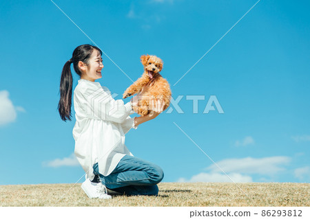 Female playing with her dog (lawn) 86293812