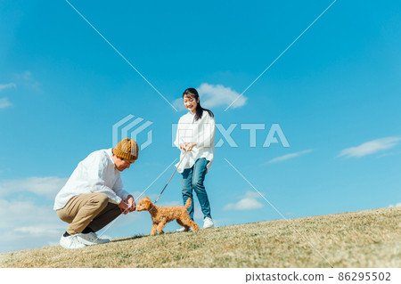 Men and women playing with their dog 86295502