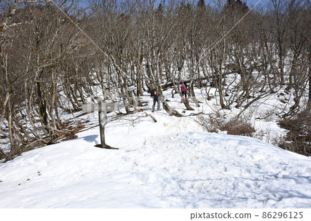 [Shiga Prefecture] Mt. Bunagatake Wasabi Pass 86296125