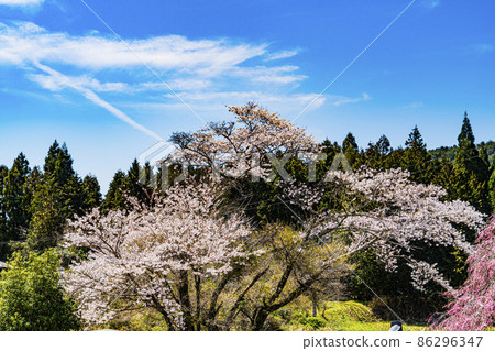 Spring old Nakasendo Tsumagojuku Spring old Nakasendo Tsumagojuku 86296347