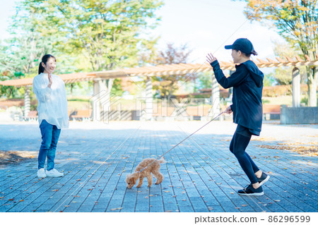 Women greeting while walking the dog Women greeting while walking the dog 86296599