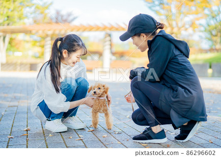 婦女在遛狗時打招呼 86296602