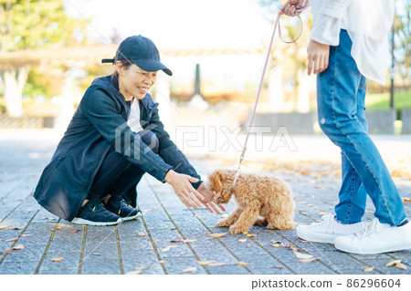 婦女在遛狗時打招呼 婦女在遛狗時打招呼 86296604