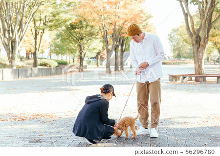 男人和女人在遛狗時打招呼 86296780
