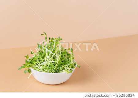 Bowl with peas microgreens on modern color background. Sprouted seeds. Healthy eating sprouts. Bowl with peas microgreens on modern color background. Sprouted seeds. Healthy eating sprouts. 86296824