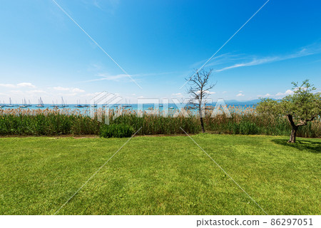 Coastline of the Lake Garda with Green Meadow and Reeds - Bardolino Italy Coastline of the Lake Garda with Green Meadow and Reeds - Bardolino Italy 86297051