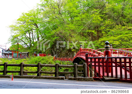 [栃木]春天的日光二荒山神社新京和新鮮的綠色 86298668