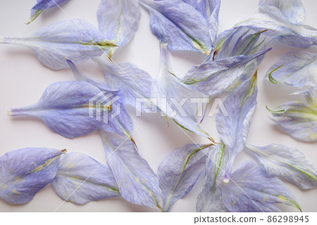 A collection of scattered blue petals A collection of scattered blue petals 86298945