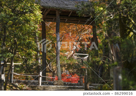 Autumn leaves in the precincts of Kodaiji Temple (Kyoto) in late autumn Autumn leaves in the precincts of Kodaiji Temple (Kyoto) in late autumn 86299016