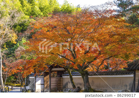 深秋高台寺（京都）境內的紅葉 86299017