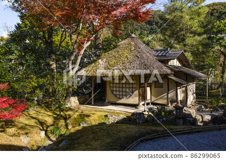 高台寺 (京都) 的秋葉在深秋 Kasatei 高台寺 (京都) 的秋葉在深秋 Kasatei 86299065